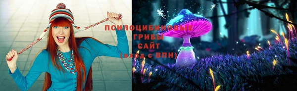 шишки Няндома
