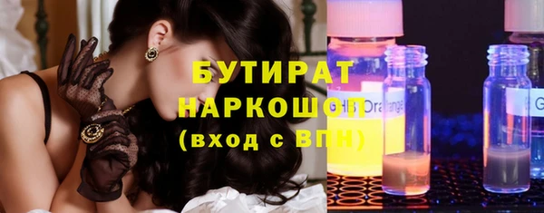 шишки Няндома
