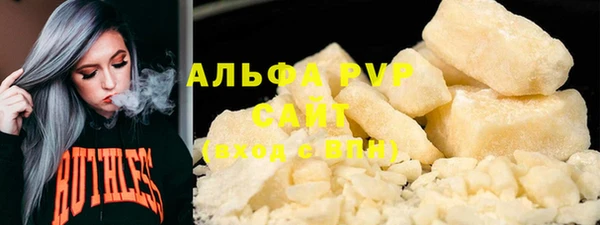 шишки Няндома