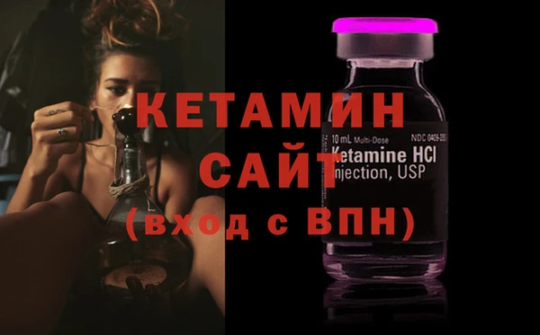 шишки Няндома