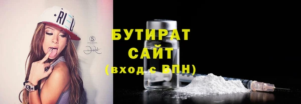 шишки Няндома