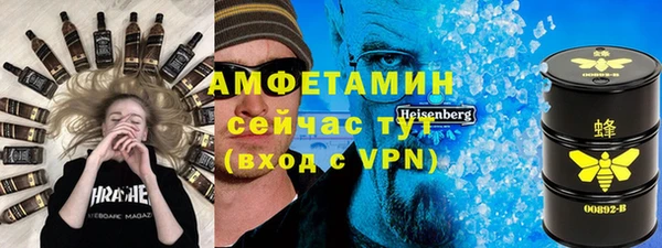 шишки Няндома