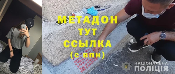 шишки Няндома