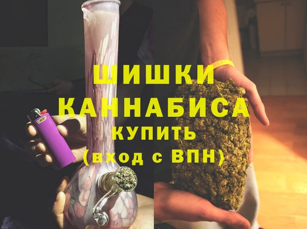 шишки Няндома