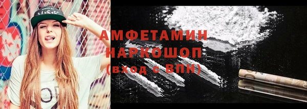 шишки Няндома