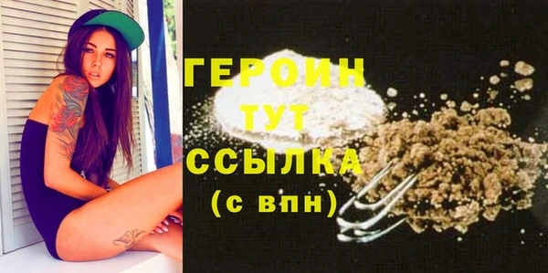 шишки Няндома