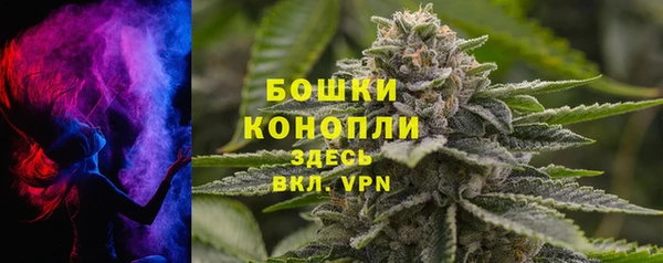 шишки Няндома