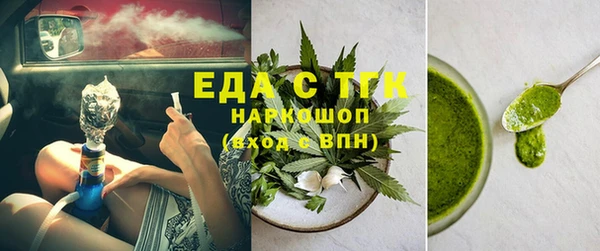 шишки Няндома