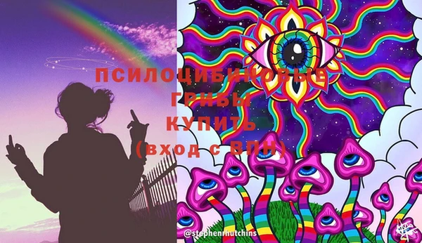 мдпв Нязепетровск