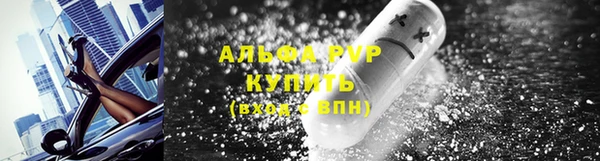 шишки Няндома