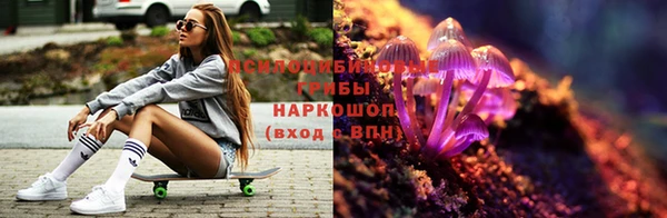 мдпв Нязепетровск
