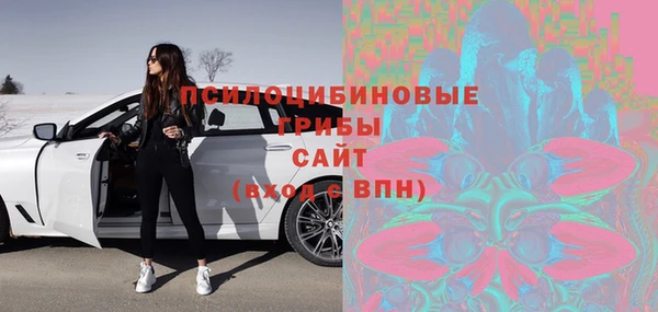 шишки Няндома