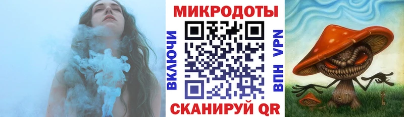 магазин продажи наркотиков  Александров  площадка официальный сайт  Галлюциногенные грибы Psilocybine cubensis 