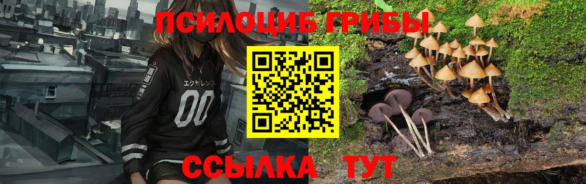 Псилоцибиновые грибы Magic Shrooms  Александров 