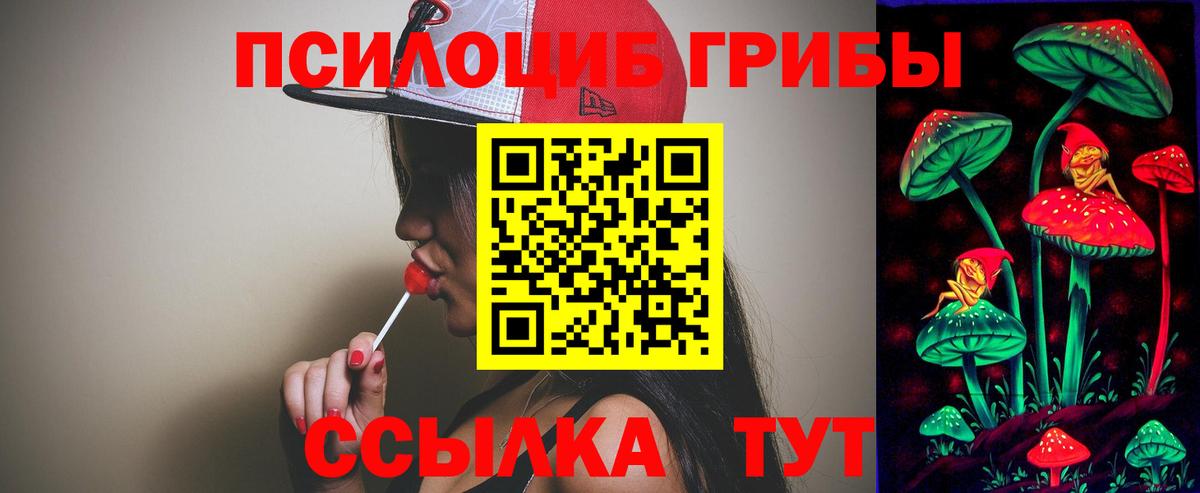 Александров  Галлюциногенные грибы Magic Shrooms  Вход с VPN 